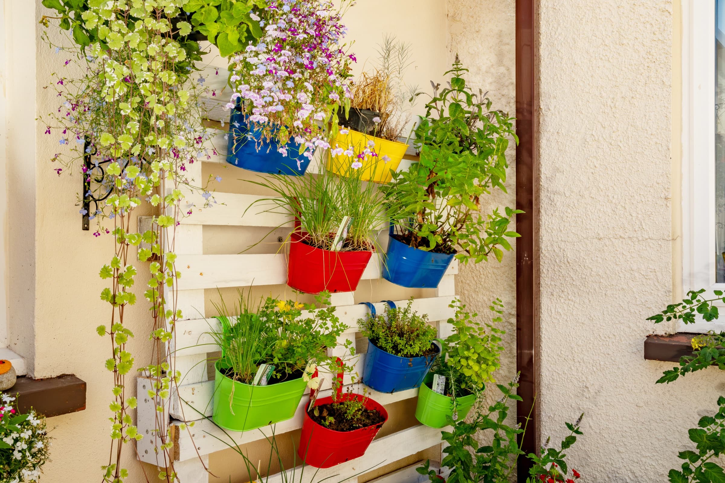 Wall-mounted planter with herbs in colourful pots